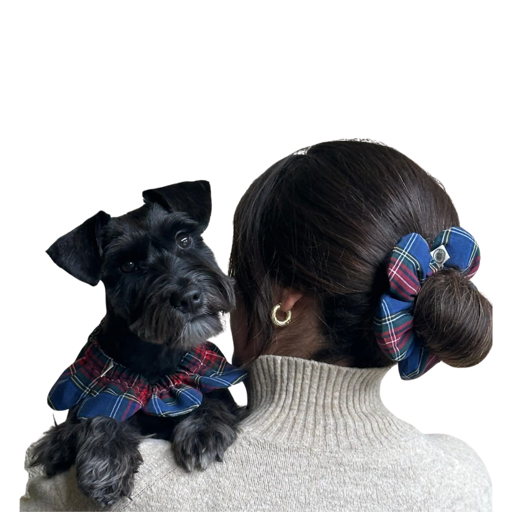 Uyumlu Kombin Seti – PawBow Flower Dog Collar & Mum Set - El yapımı butik tasarım 1