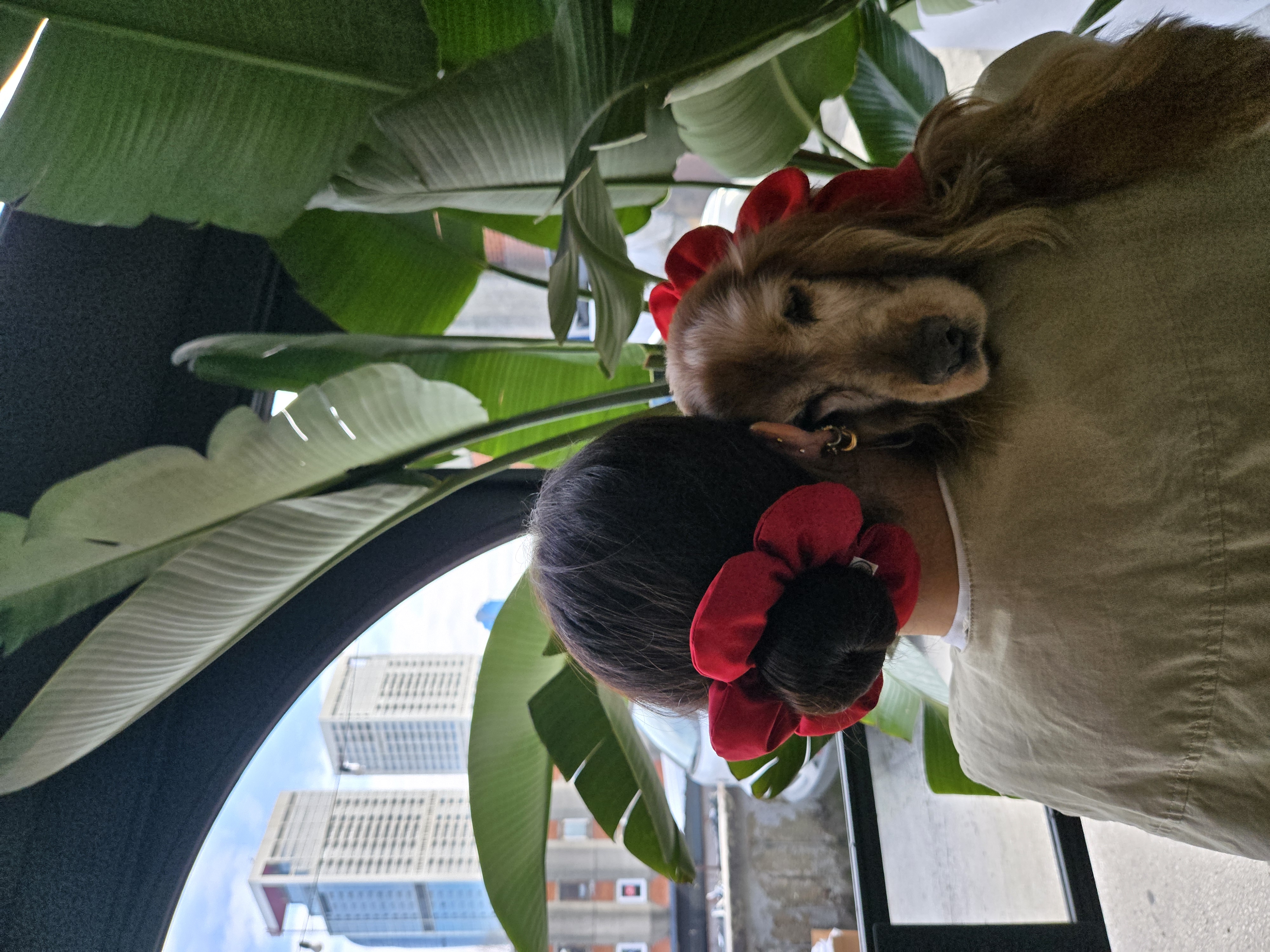 Uyumlu Kombin Seti – PawBow Flower Dog Collar & Mum Scrunchie Set (Red#2) - El yapımı butik tasarım 1