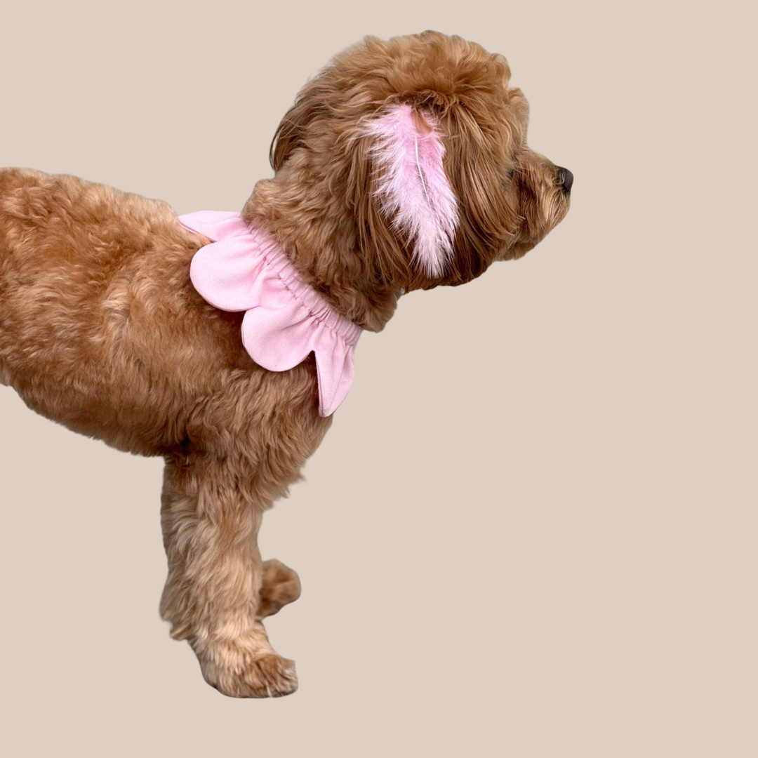 El Yapımı Köpek Yakalığı – PawBow Flower Dog Collar  (BabyPink) - El yapımı butik tasarım 2