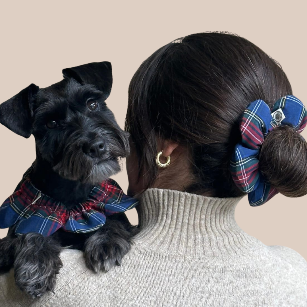 Uyumlu Kombin Seti – PawBow Flower Dog Collar & Mum Set - El yapımı butik tasarım 1