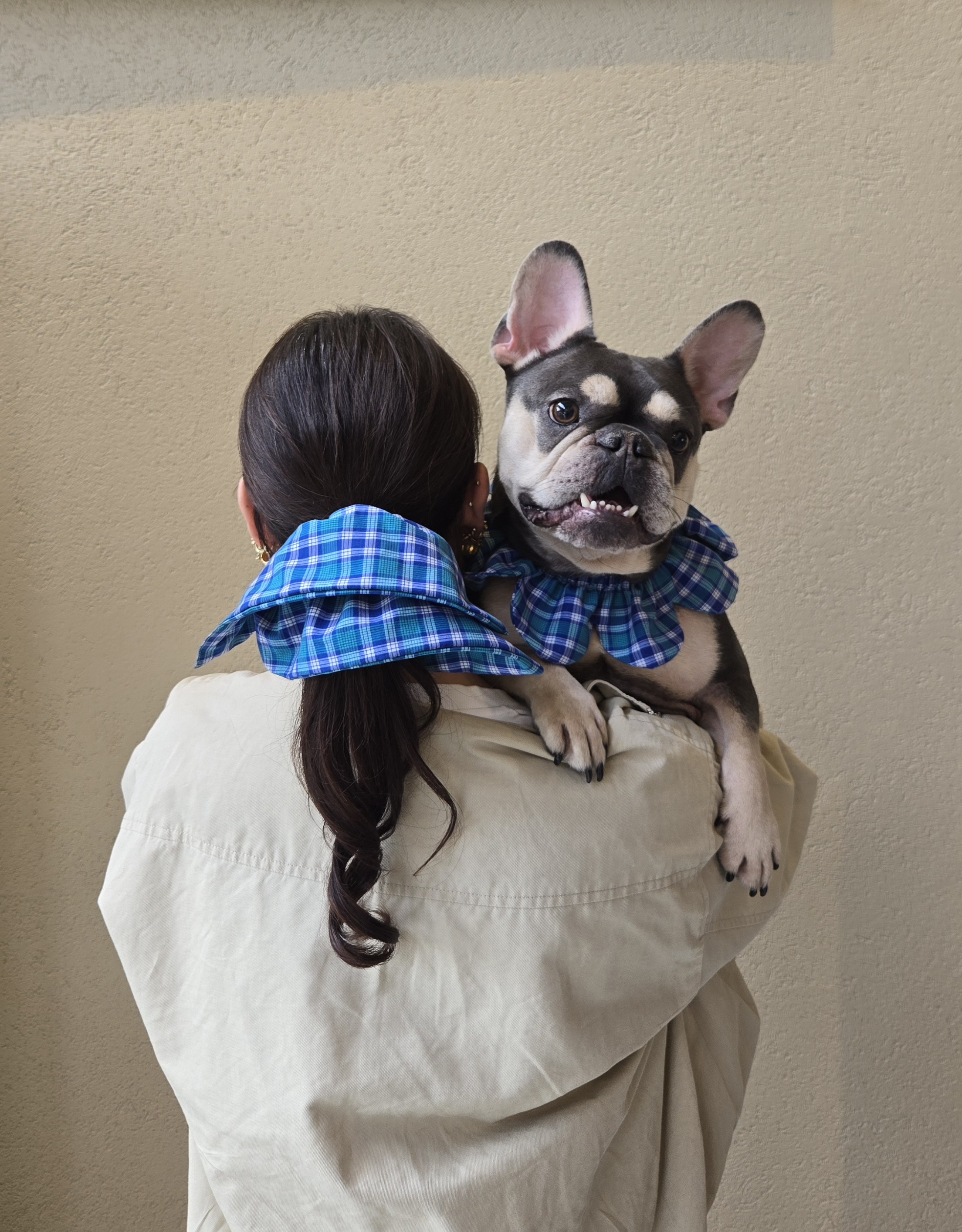 Köpek Sahiplerine Hediyeler